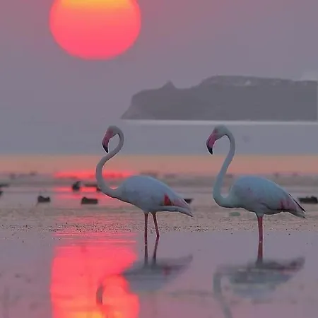 Tatil Evi Teresa Sarroch